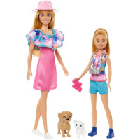 Набор кукол Барби и Стейси со щенками Спасение Barbie & Stacie with Pet Dogs The Rescue Movie