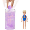 Кукла Барби Челси Сюрприз Цветное перевоплощение Barbie Color Reveal Chelsea Doll Sunny N' Cool beach Series