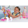Игровой набор кукла Барби Уход за лошадьми Barbie Groom 'n Care Horses Playset Doll, Blonde