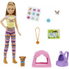 Кукла Барби Стейси Кемпинг Barbie It Takes Two Camping Playset with Stacie Doll