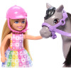 Кукла Барби Челси и серый пони ​Barbie Chelsea & Gray Pony (HTK29)