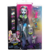 Кукла Монстер Хай Фрэнки Штейн с питомцем Monster High Frankie Stein with Pet Dog Watzie Mattel