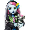 Кукла Монстер Хай Фрэнки Штейн с питомцем Monster High Frankie Stein with Pet Dog Watzie Mattel