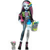 Кукла Монстер Хай Фрэнки Штейн с питомцем Monster High Frankie Stein with Pet Dog Watzie Mattel