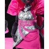 Кукла Монстер Хай Кэтти Нуар с питомцем Monster High Catty Noir with Pet Cat Amulette Mattel