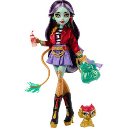 Кукла Монстер Хай Джинафаер Лонг с питомцем Monster High Jinafire Long with Pet Dog Cloudy Mattel (HYV58)
