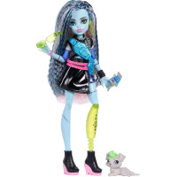 Кукла Монстер Хай Фрэнки Штейн с питомцем Monster High Frankie Stein with Pet Dog Watzie Mattel (JHK31)