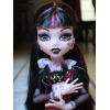 Дракулаура Базовая с питомцем Монстер Хай Draculaura Basic
