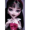 Дракулаура Базовая с питомцем Монстер Хай Draculaura Basic